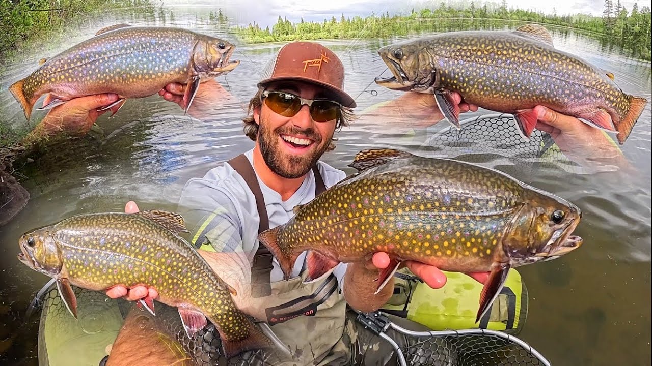 GIANT BROOK TROUT FISHING!! (Catch & Cook!!)