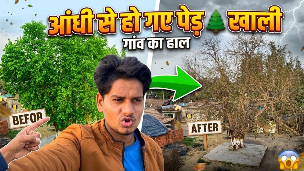 आंधी ने पूरे गांव का हाल बदल दिया 😱 | पेड़ हो गए बर्बाद
