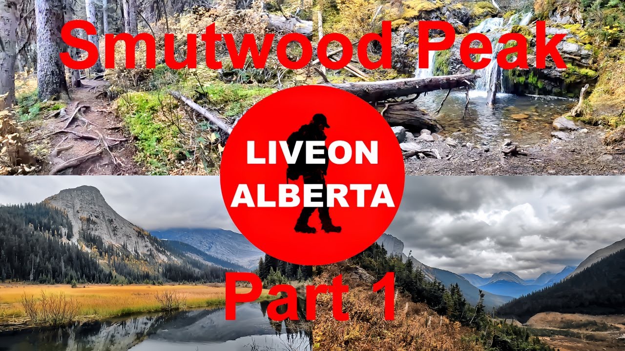 My MOST STUNNING Hike yet, Smutwood Peak Hike #canadianrockies