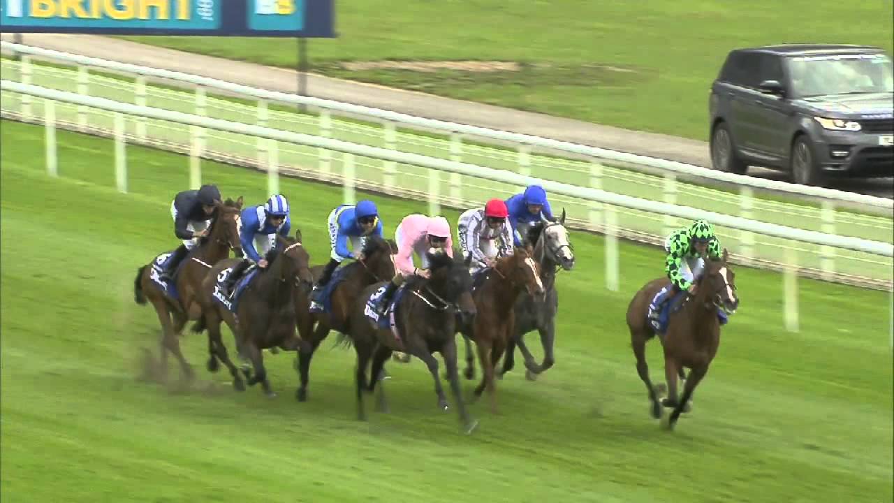2014 Darley Yorkshire Oaks - Tapestry - Racing TV
