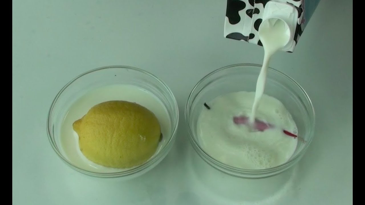How to make yogurt culture/starter at home-- Cooking A Dream