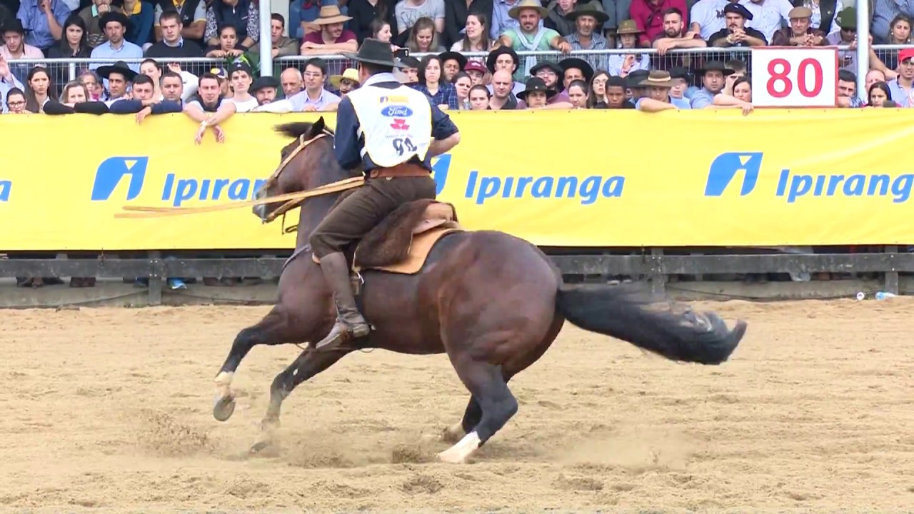 PN Cambiasso - Melhor Bayard Sarmento do Freio de Ouro 2017