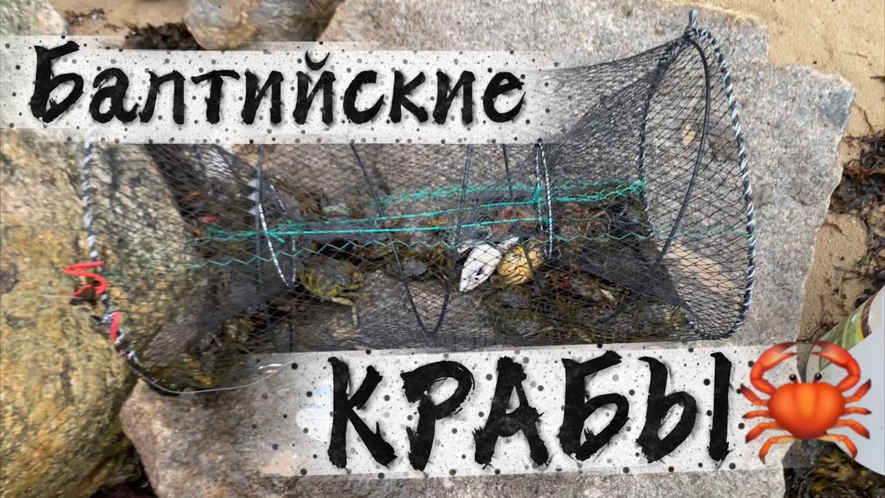 МОЯ ПЕРВАЯ🥇 ЛОВЛЯ БАЛТИЙСКОГО КРАБА🦀 В ГЕРМАНИИ🇩🇪 НА КРАБОЛОВКУ🪤