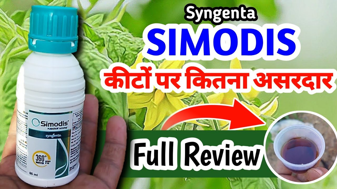 Syngenta Simodis Full Review | Simodis Syngenta | Syngenta Simodis | Simodis Insecticide