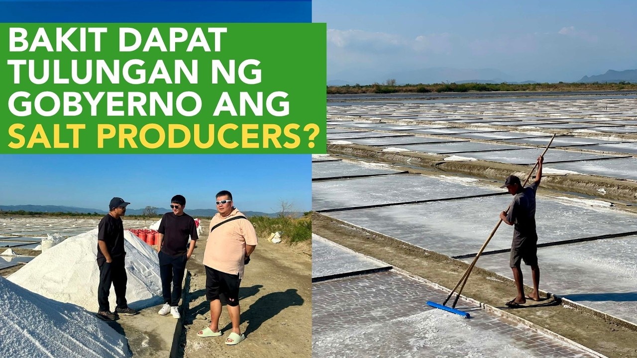 Paano Ma Encourage ang Local Businessmen mag Asinan para Mabuhay Ulit ang Local Salt Industry?