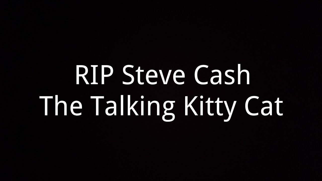 RIP Steve Cash The Talking Kitty Cat 🌈 #RIPSteveCash