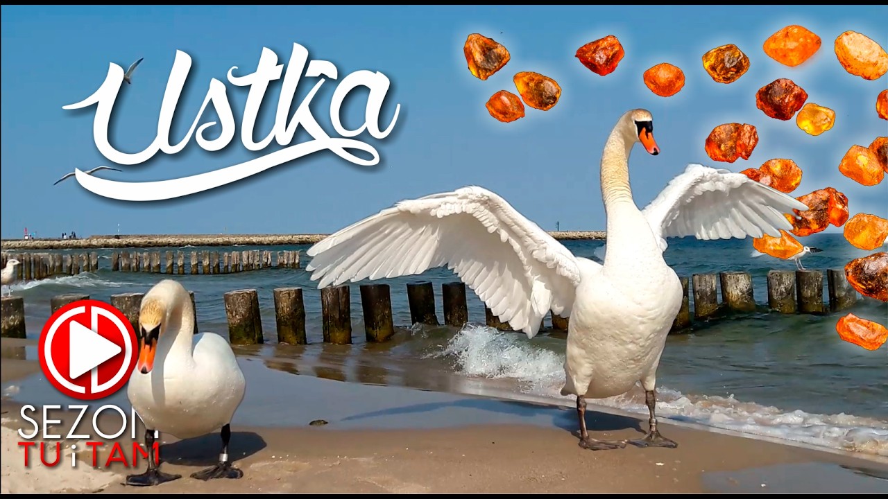 USTKA ⛱  - pierwszy spacer - sezon NA SZLAKU / SJ7000+