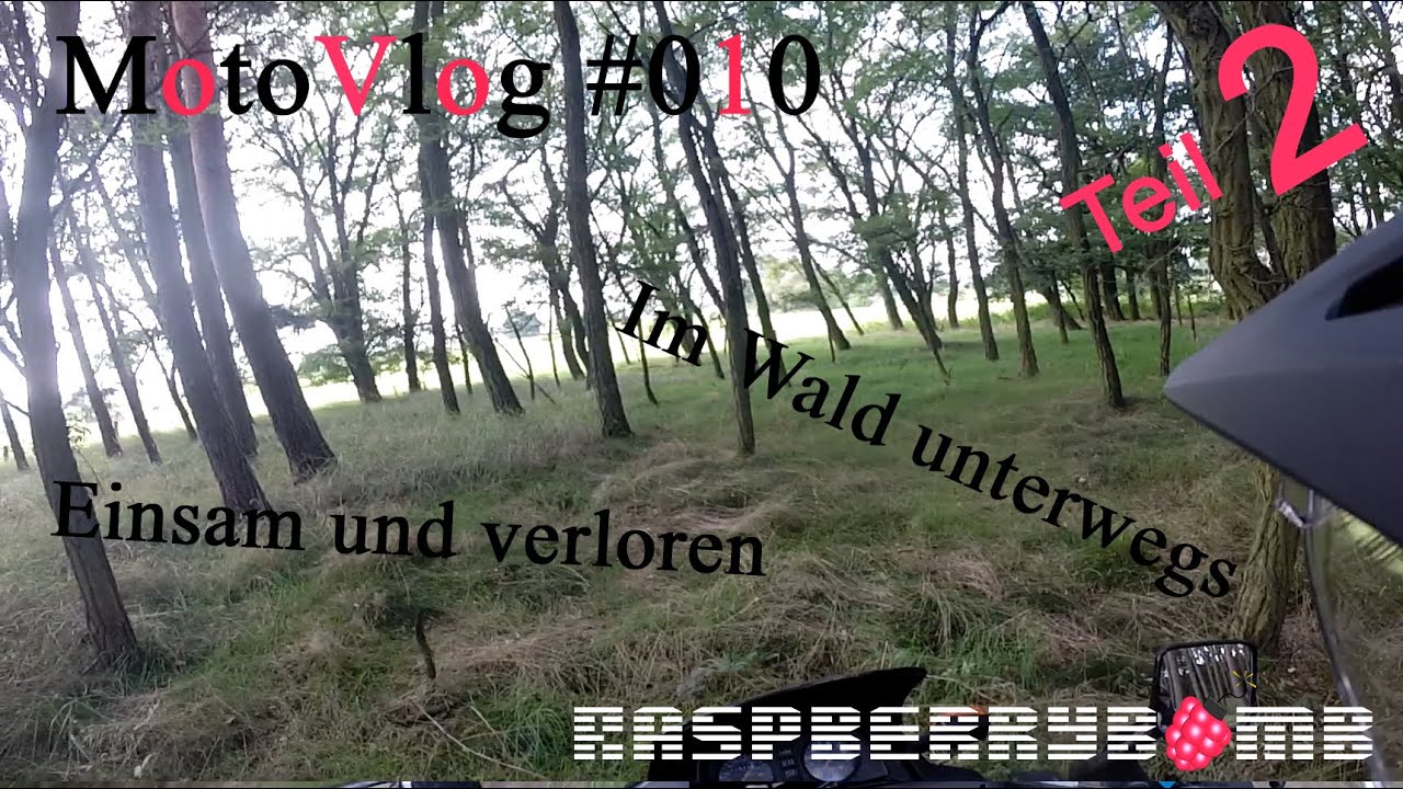 Im Wald unterwegs | Betonfabrik | TEIL 2 von 