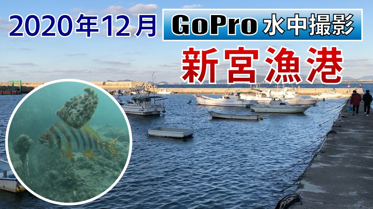 新宮漁港でGoPro沈めてみた
