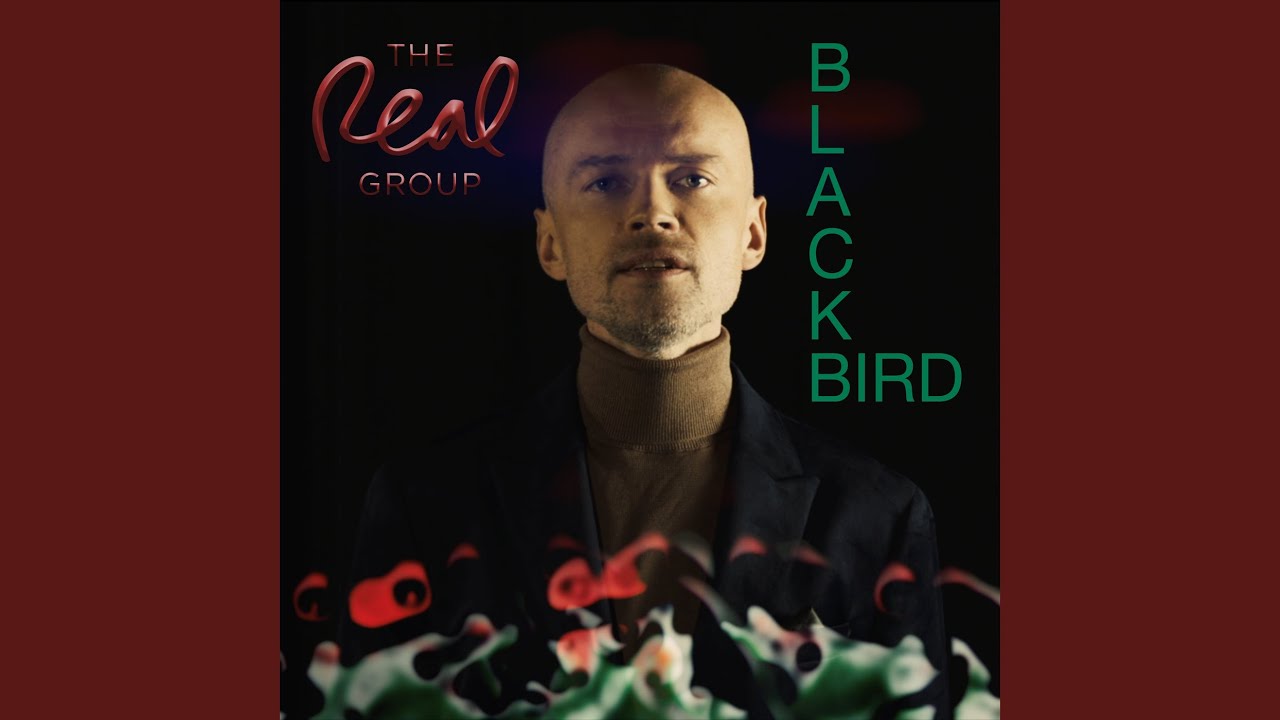Blackbird