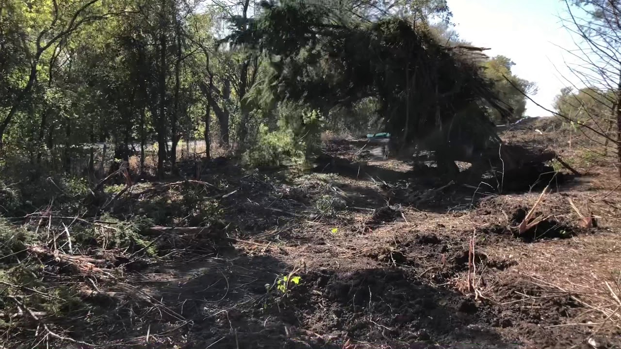 Komatsu PC360 Removing Trees