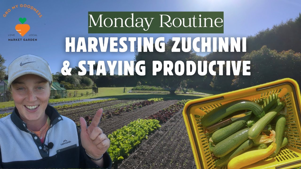 A Day in My Garden: Market Gardening Mondays & Zucchini Adventures 🌱📋