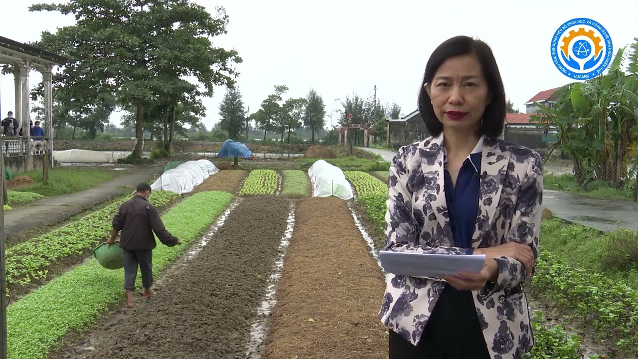 Kỹ thuật trồng rau sạch theo tiêu chuẩn VietGap
