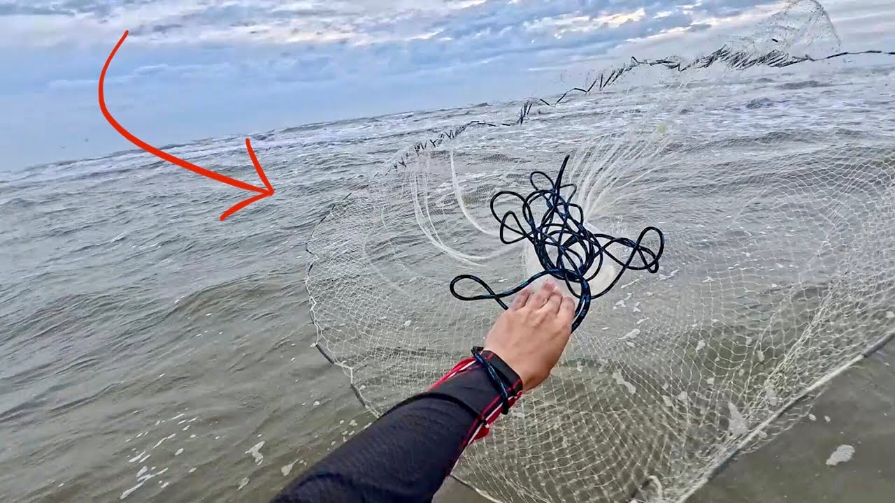 PESCARIA de TARRAFA com MUITO PEIXE na PRAIA!
