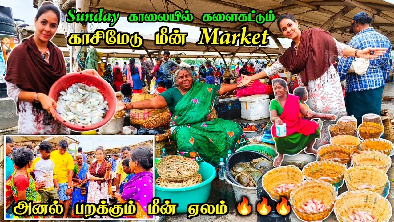 💥💯காசிமேடு மீன் Market-இல் மிக குறைந்த விலையில் கிடைக்கும் கடல் மீன்கள்😍🔥| Media பட்டதாரி #kasimedu