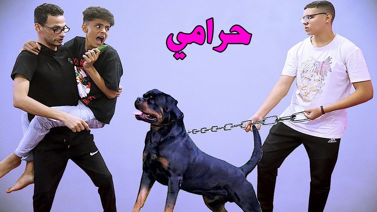 لما ابوك يتفكر صحبك حرامى ويجيب كلب حراسه 😱