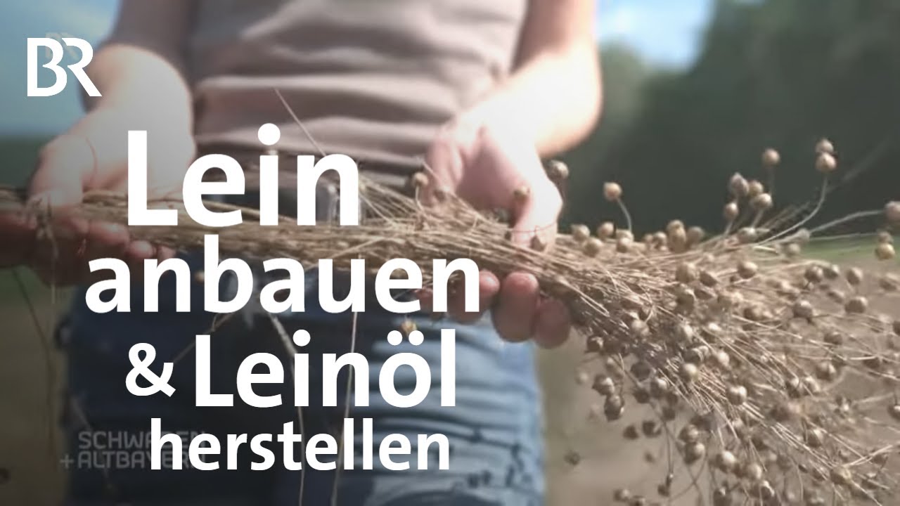 Sonderkultur Lein: Landwirtin experimentiert mit Leinpflanzen | Leinöl | Schwaben + Altbayern | BR