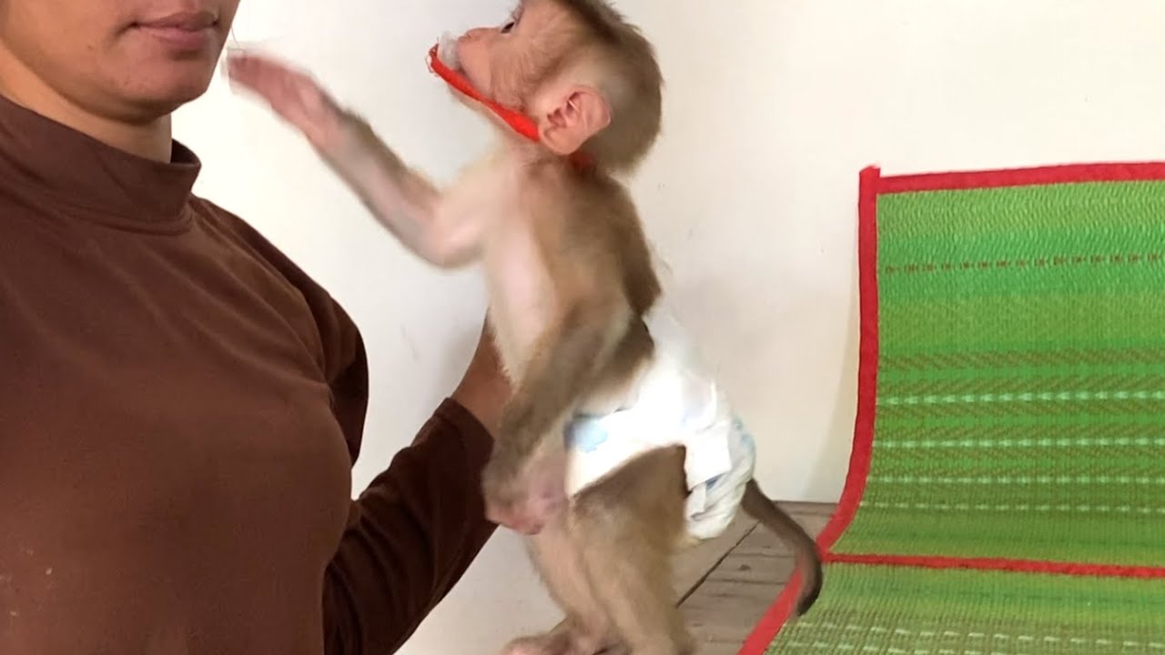 Amazing!!  LIORA is so smart, she stands up and grabs leaves from her mother