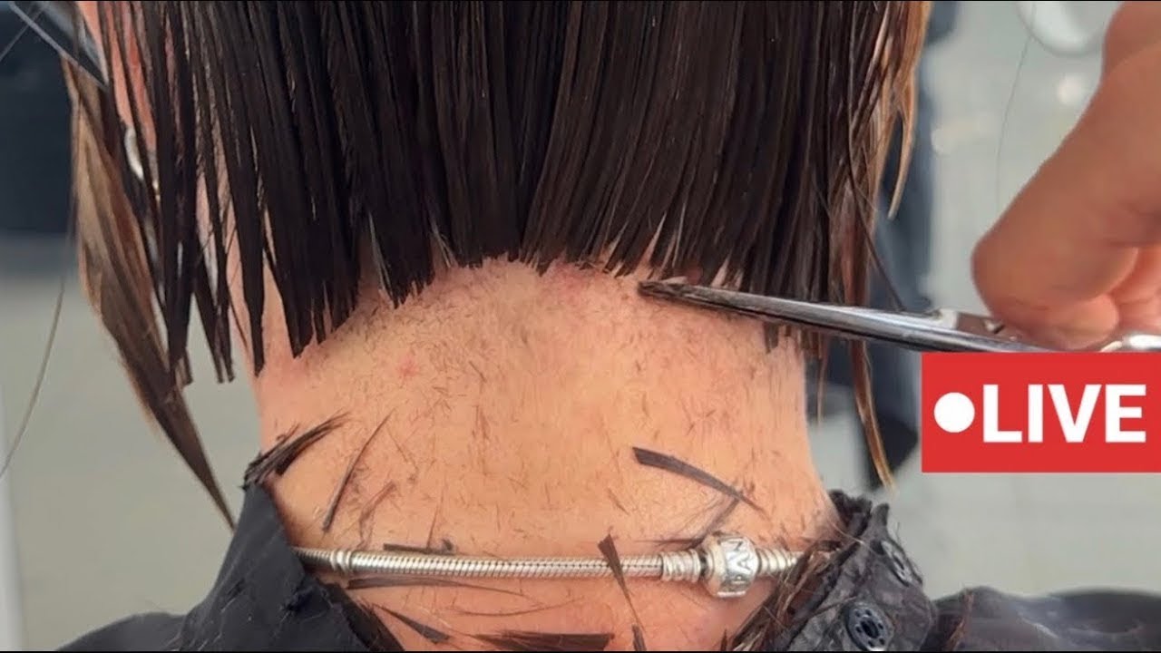 STUNNING Haircuts by Vivyan Hair Design! 💜✨🤩 #haircut #hairstyle #shorthair #longhair #hairtutorial