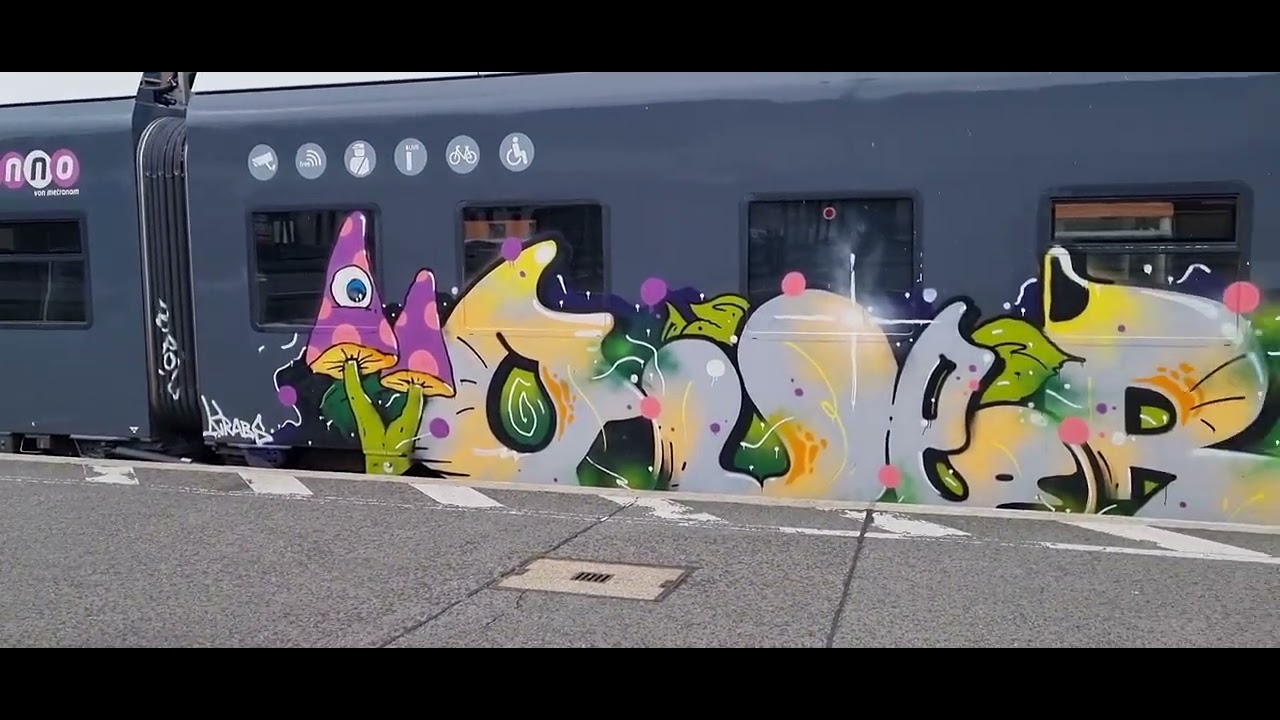 Graffiti auf Zügen in Norddeutschland! Stand: 08.08.25 #skin#wholecar#kine#crus#gms#cos