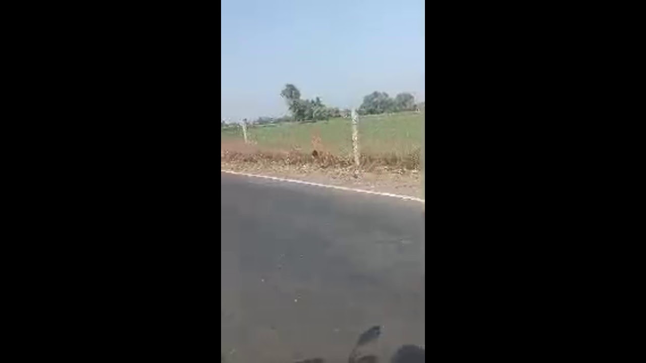 કાનજી ગુજરીયા લાઇવ છે!