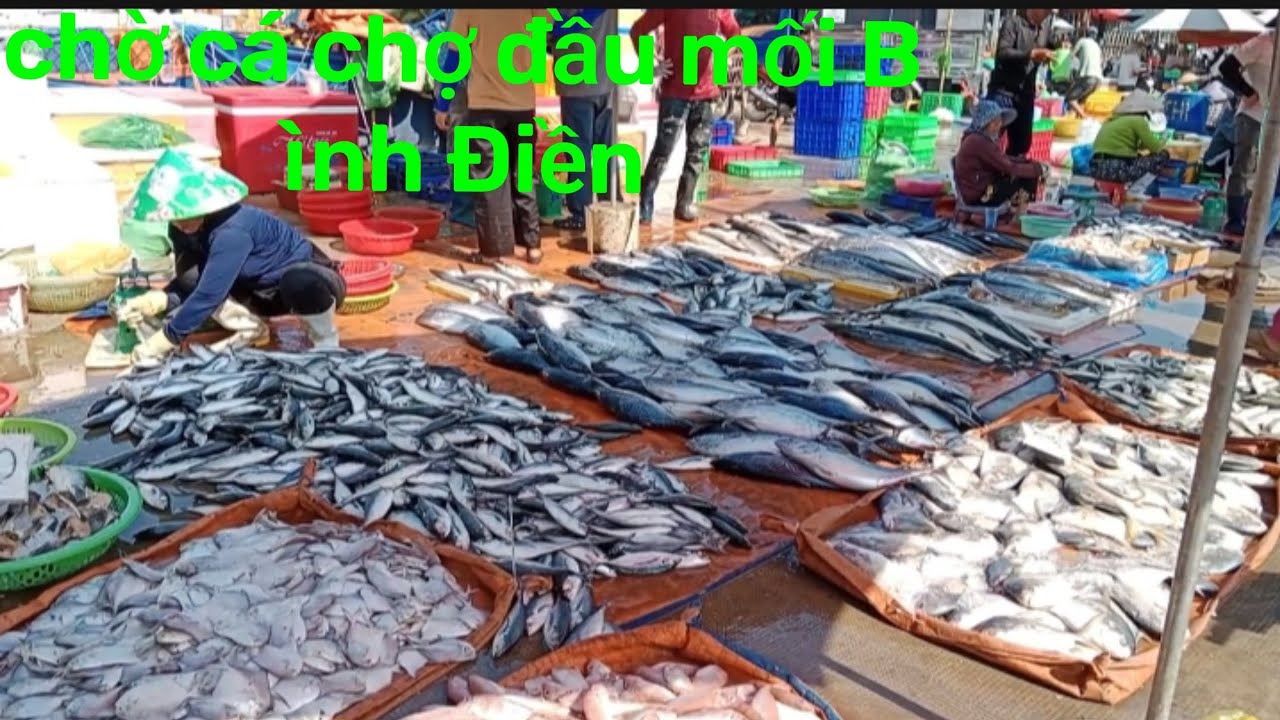 Cập Nhật Chợ Cá Bán Lẻ Tại CHỢ ĐẦU MỐI BÌNH ĐIỀN chợ cá đất nông khủng khiếp sáng nay 25/2/2026 