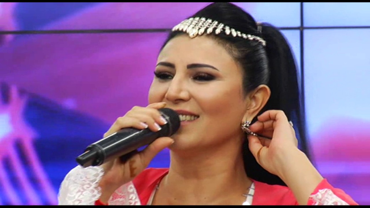 AYŞE DİNÇER - GÜLÜM SENİ ALIR DAĞA KAÇARIM