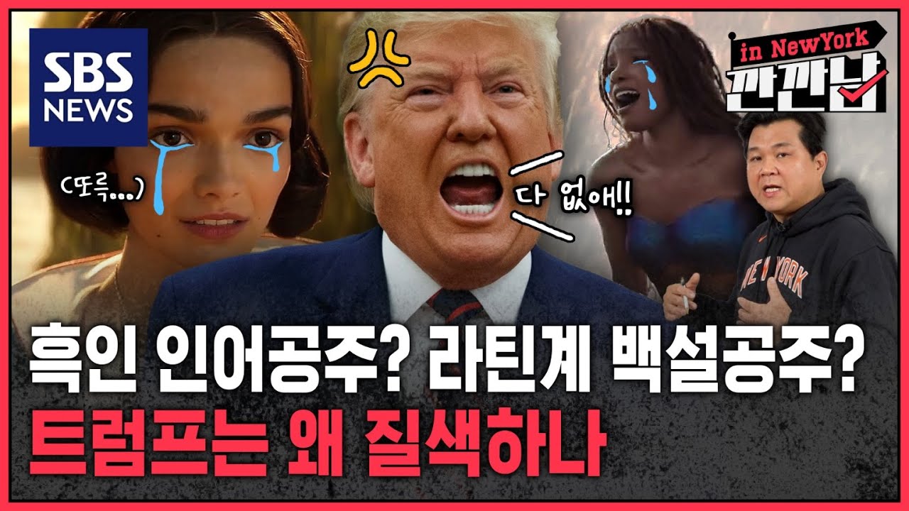 흑인 인어공주? 라틴계 백설공주?…트럼프는 왜 DEI에 질색하나 / SBS / 깐깐남in뉴욕