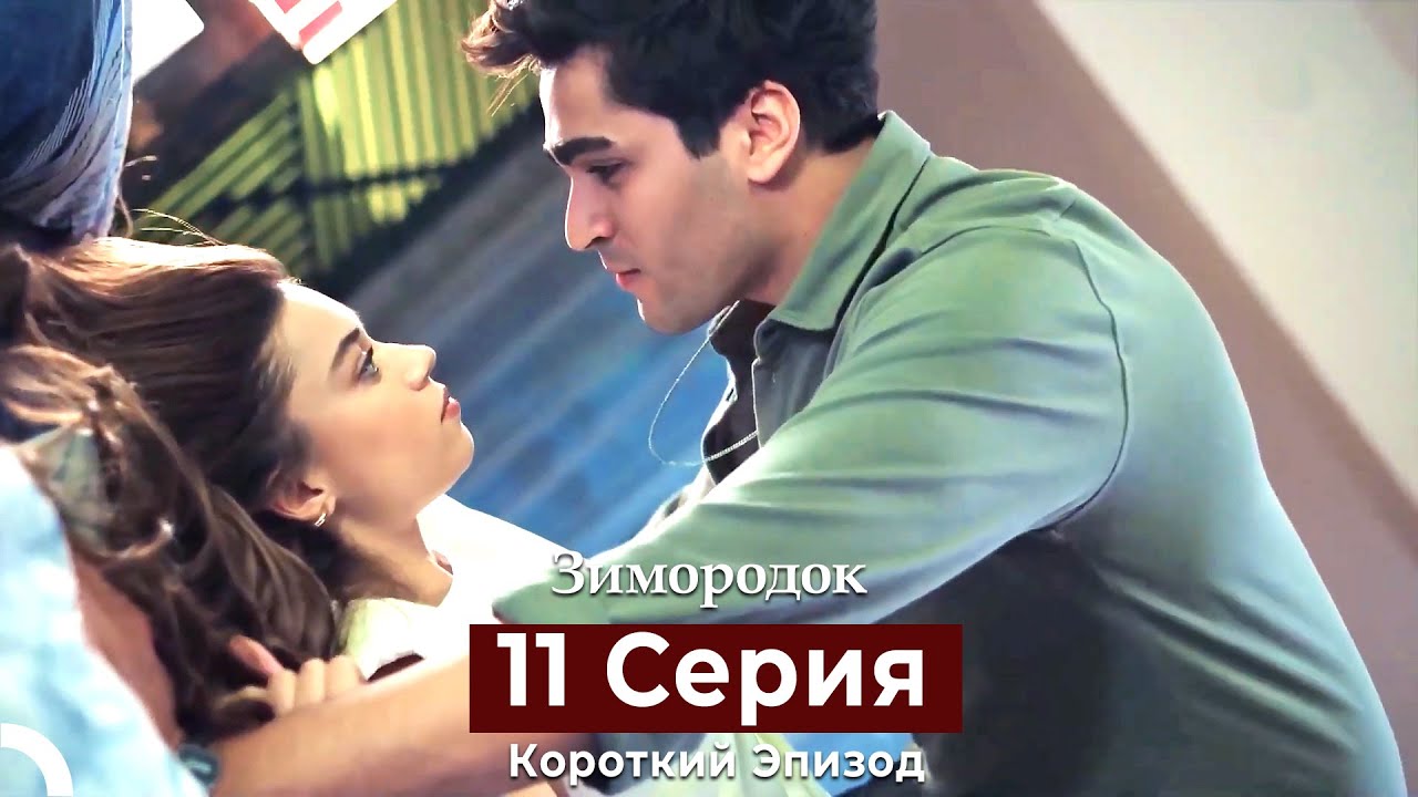 Зимородок 11 Cерия (Короткий Эпизод) (Русский дубляж)