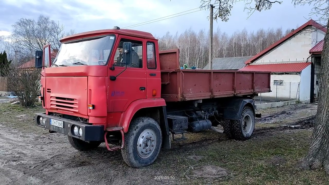 STAR 1142, TRANSPORT OWIES HARNAŚ CAŁE 800KG