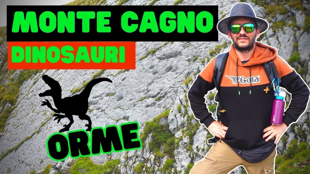 Le impronte dei dinosauri sul Monte Cagno