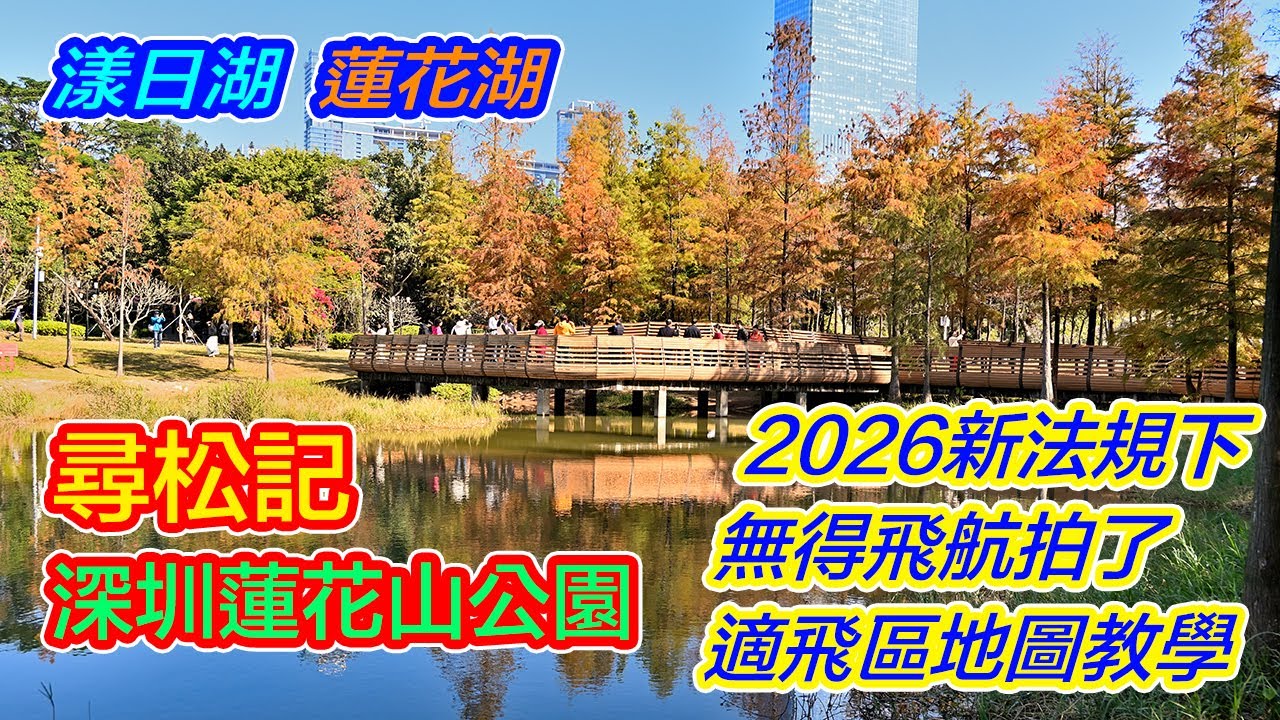 【尋松記 - 深圳市蓮花山公園 】落羽松 - 1月中旬實況 | UOM 內地無人機新法規 | 無得飛航拍了 | 交通攻略 | 漾日湖 | 蓮花湖 | 蓮花村站 | 少年宮站