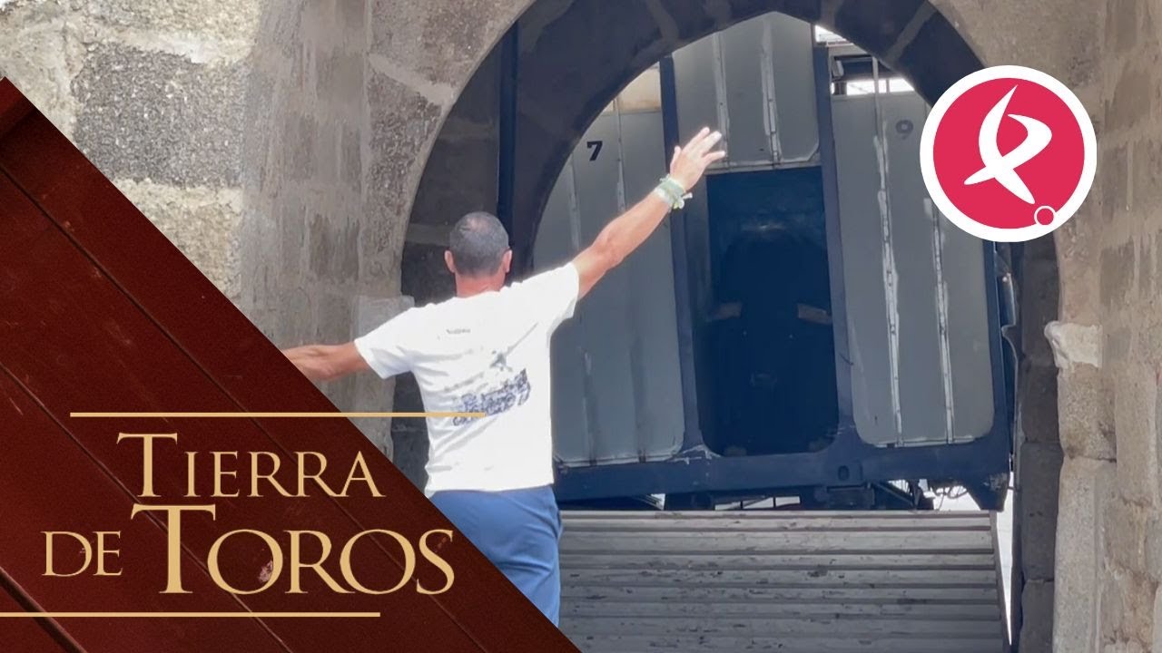 Espectacular desembarque de los toros de Fregenal de la Sierra | Tierra de toros