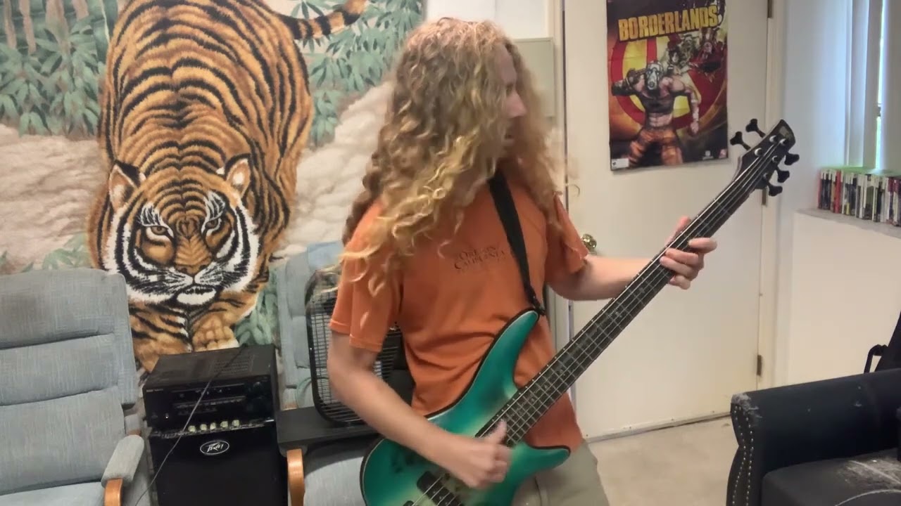 Detox, Strapping Young Lad Bass Cover