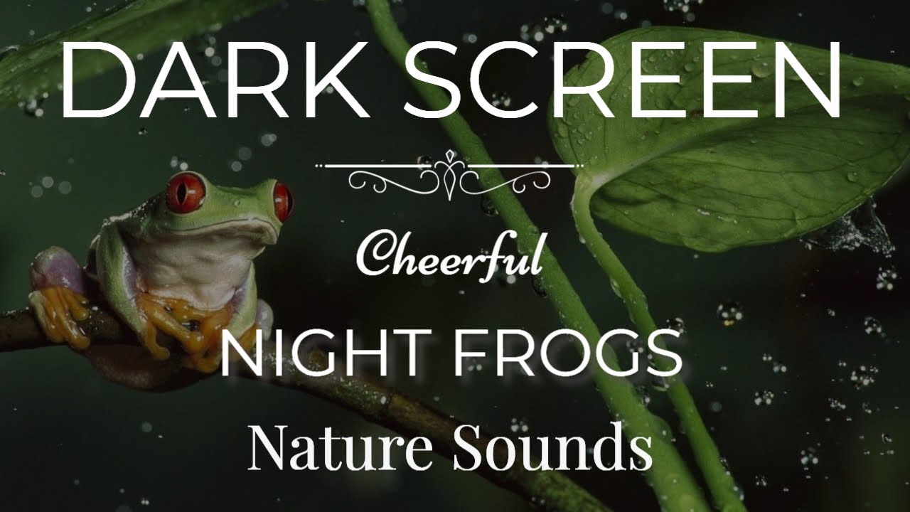 Tree Frog Noises at Night | Dark Screen 10 Hours