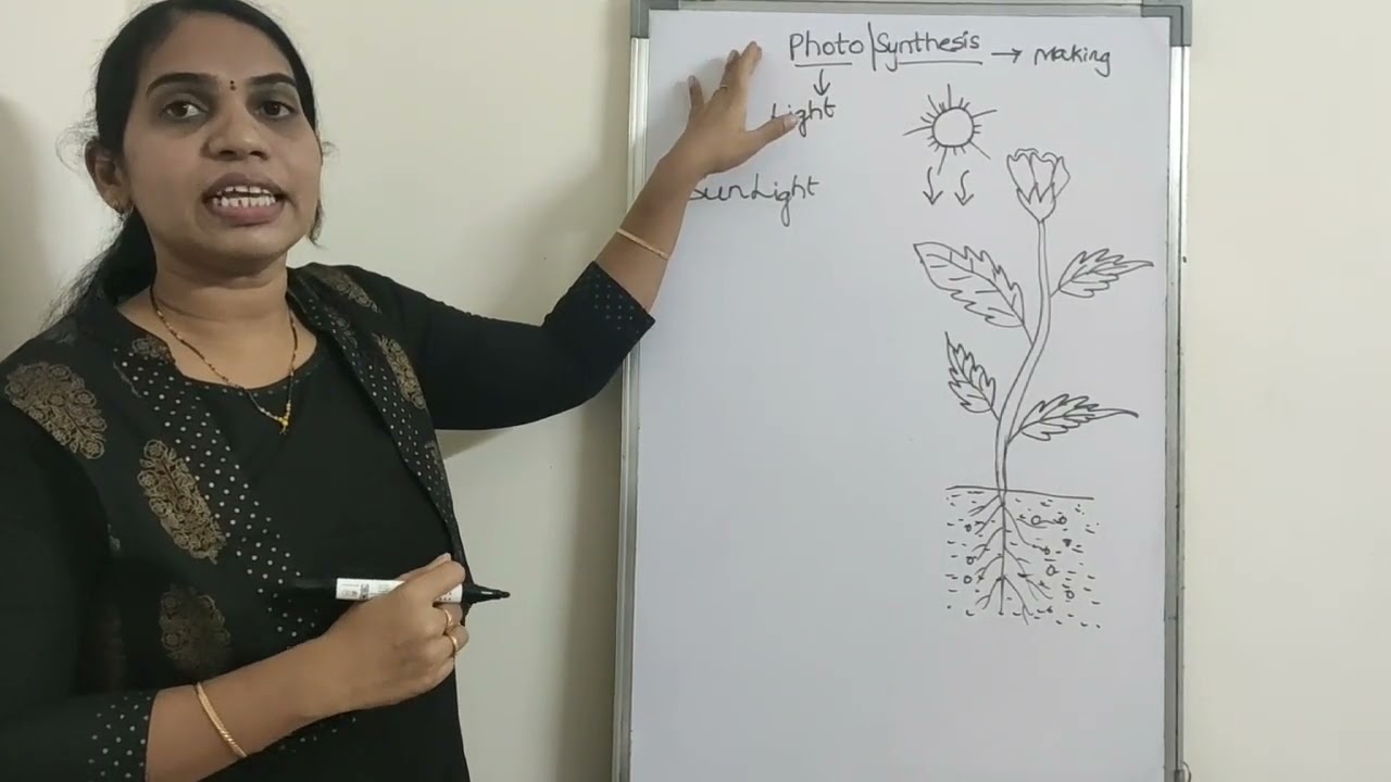 Demo on Photosynthesis
