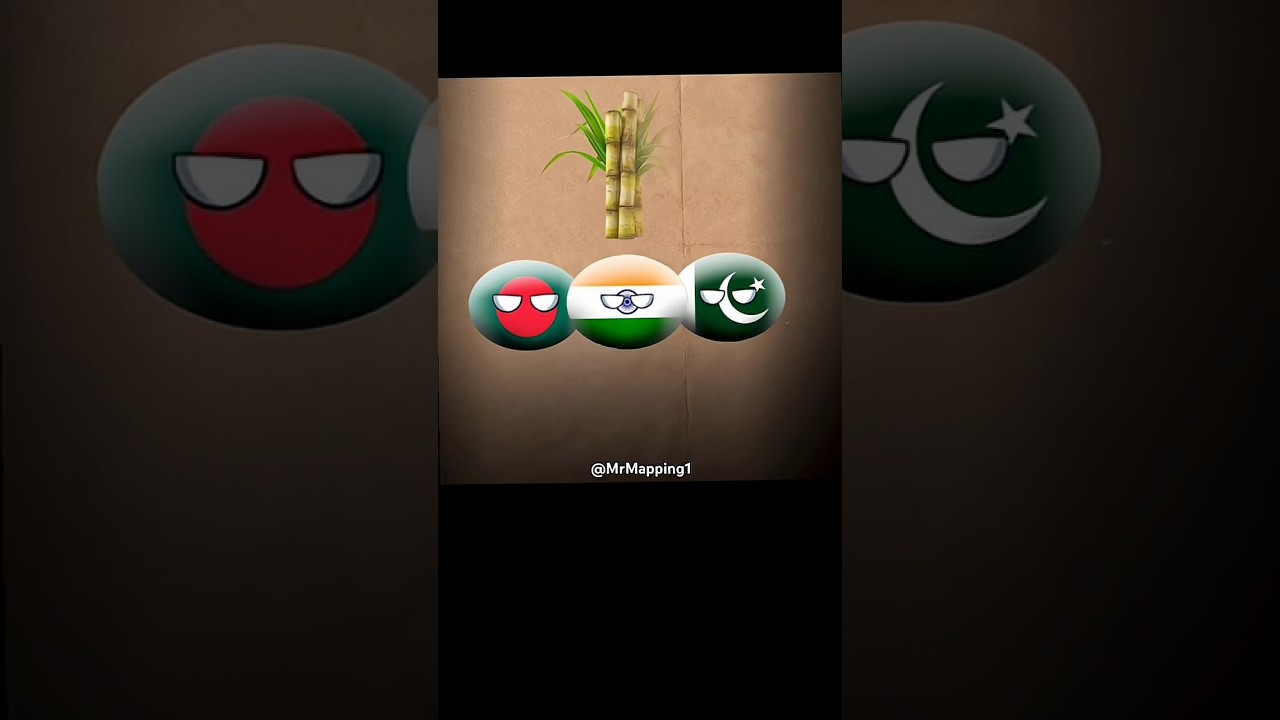 Most Countries Favorite Summer Cold Drink 🍻