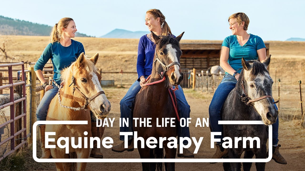 A Day in the Life of an Equine Therapy Farm | Chewy