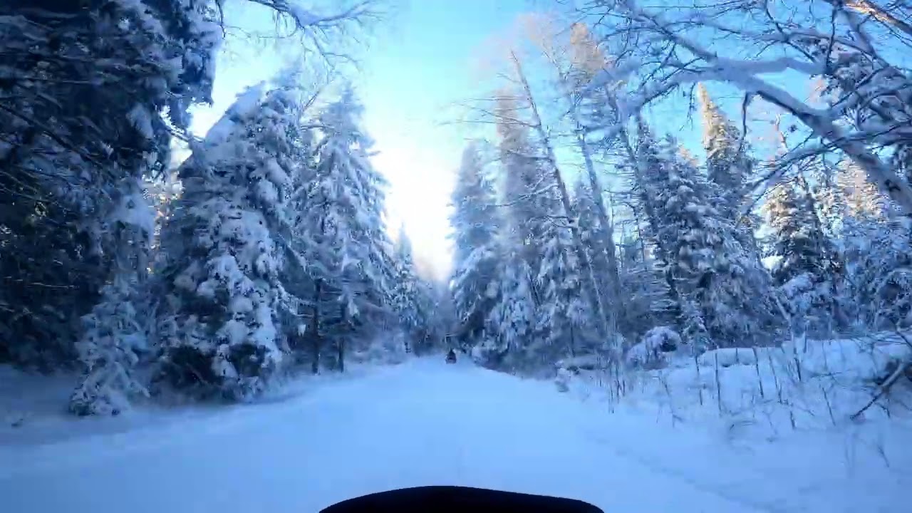 1982 Yamaha SRV 540 Trail Ride