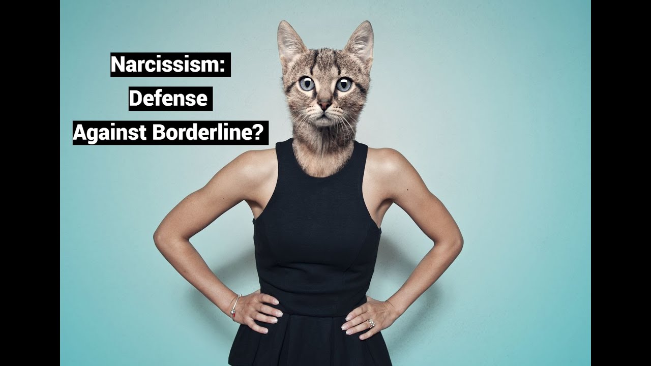 How Narcissist, Borderline Morph Into Each Other (Narcissism: Defense Against Borderline?)