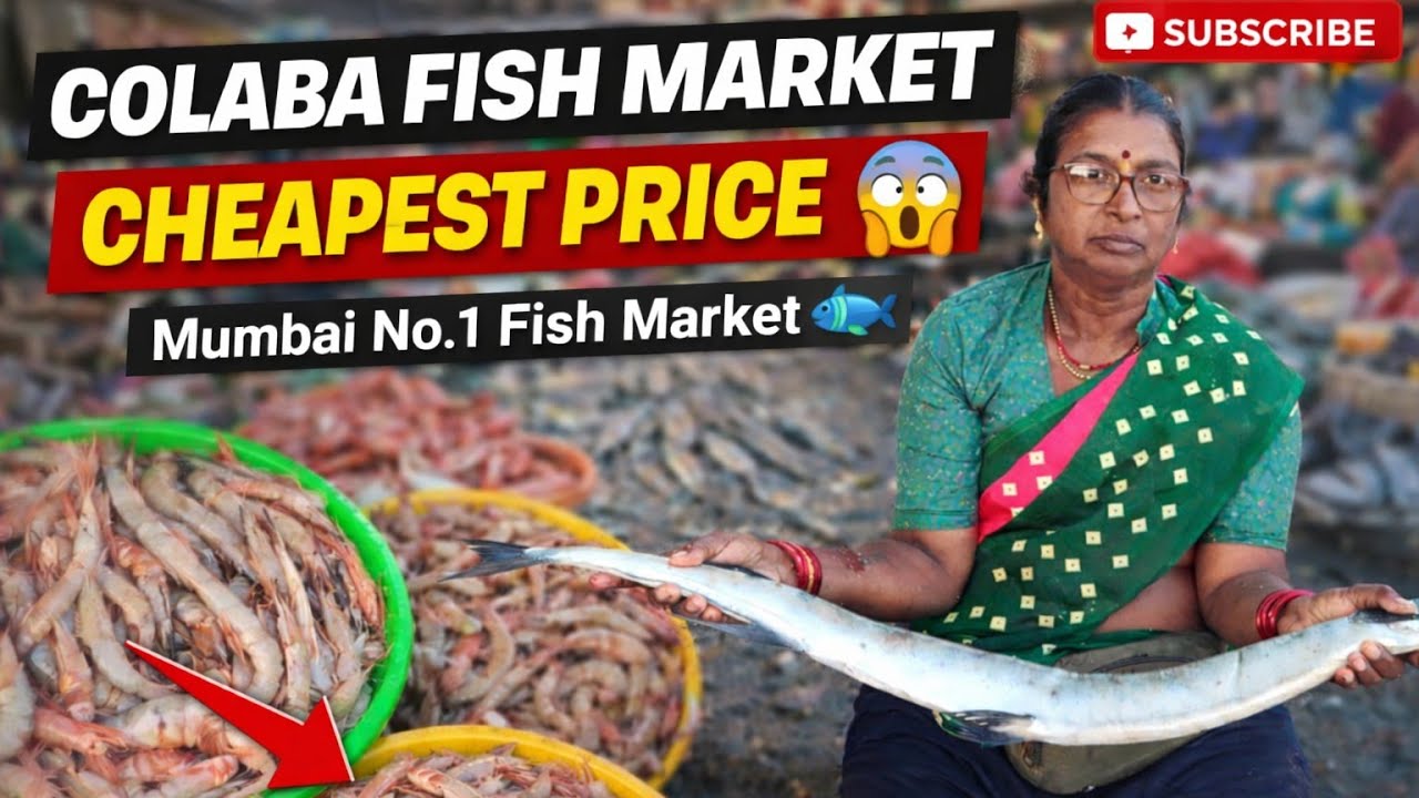 Mumbai Colaba Fish Market | Colaba Sassoon Dock Machli Market | Wholesale  Machli 🐟 In Mumbai 😳
