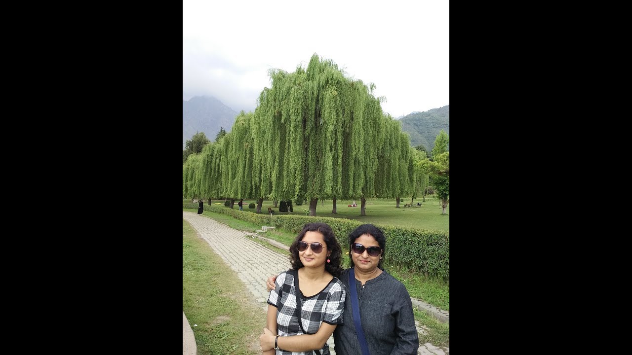 Kashmir Diaries Part 1: Srinagar |Travel Stories| Seven Leaves Travels