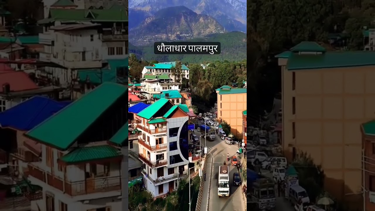 Palampur City