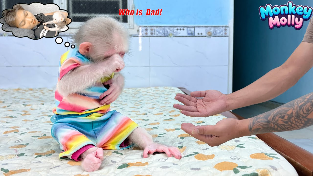 Monkey Molly misses Dad but luckily her mom's husband loves her more