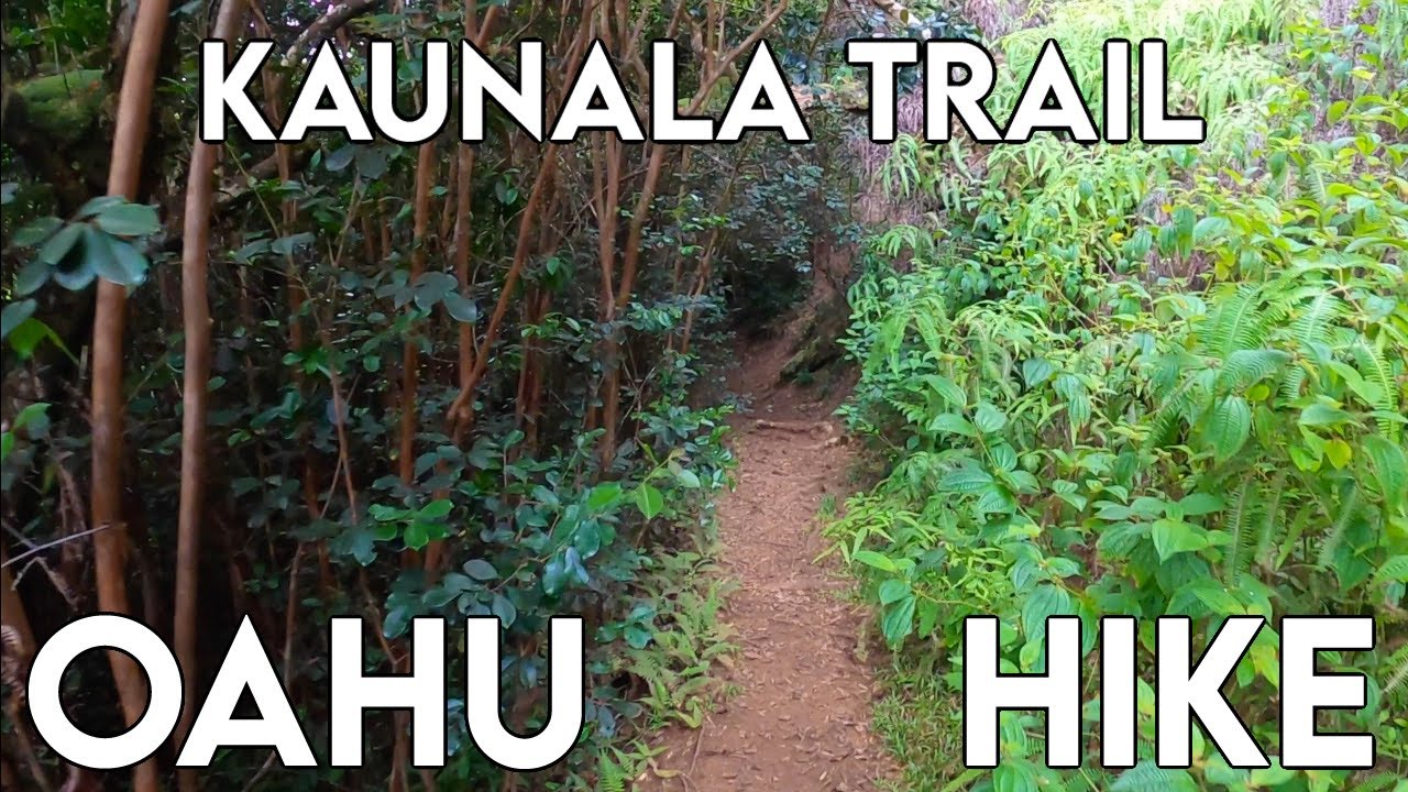Kaunala Trail | Hikes on Oahu | HAWAII Hiking