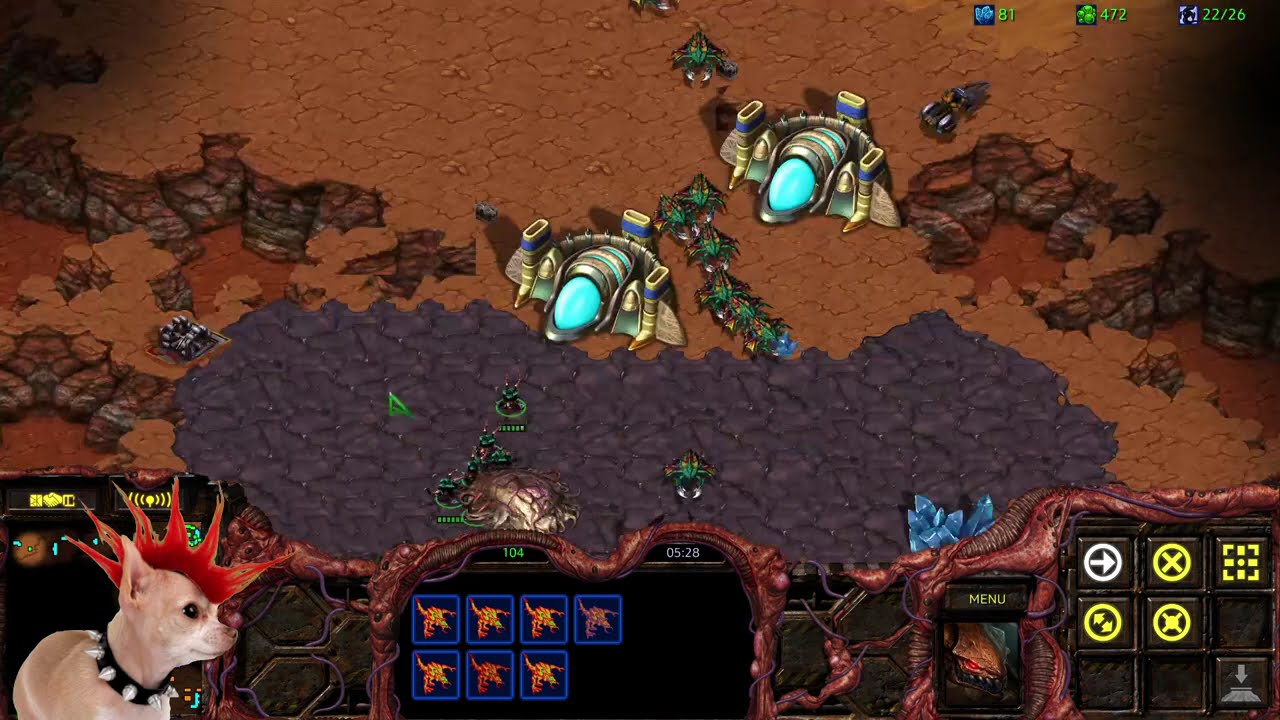 ZERG Charging headfirst into the StarCraft ladder 💥 as a complete noob! 🤯
