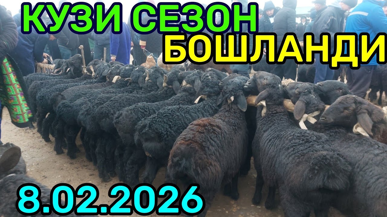 8.02.2026 КУЗИ СЕЗОН БОШЛАНДИ КАРШИ КАРВОН МОЛ БОЗОРИДА 
