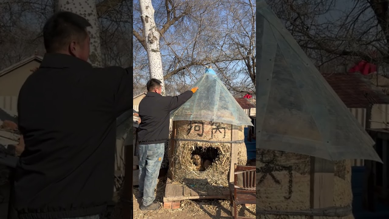 Transforming Our Straw Dog Kennel: A Cozy Makeover