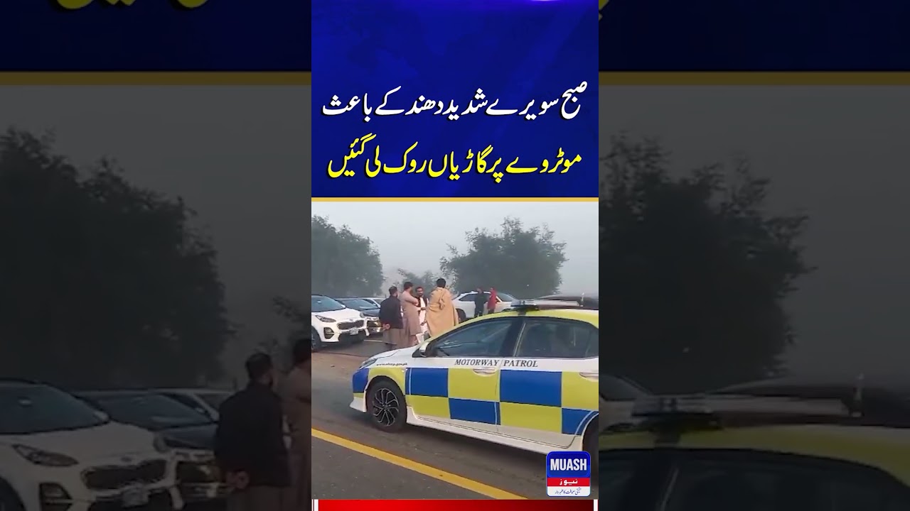 Foggy conditions on the motorway #shorts #viralvideo #foryou   #trending #imrankhan