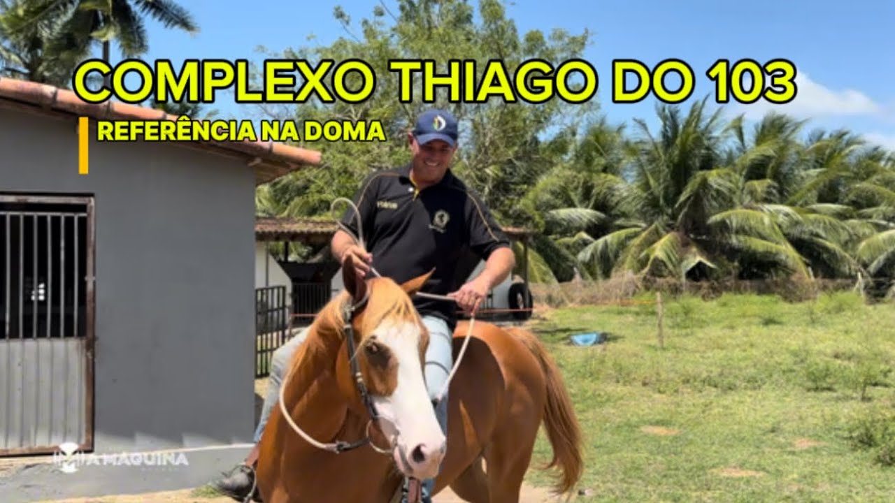 HARAS COMPLEXO THIAGO 103 REFERÊNCIA NA DOMA RACIONA - SEGUIMENTO DA VAQUEJADA.  @thiagodo103 